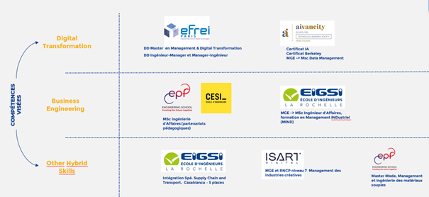 Offre hybridation de compétences