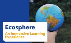 Immersive Learning Experience