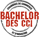 Bachelor des CCI