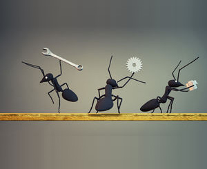 RSE Net SOLIDAIRE Excelia