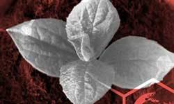 Hot off the press… Excelia’s 2020-2021 CSR Report!