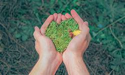 4th place for Excelia Business School in the ranking by ChangeNOW and Les Echos START