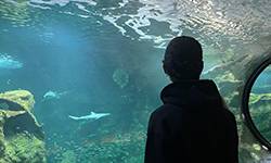 Global Network Week : Joining Forces for Sustainable Development