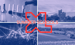 Summer Schools: French Immersion at Excelia