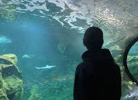 Global Network Week 1