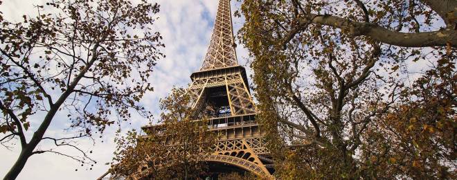 Paris-Assas-Excelia